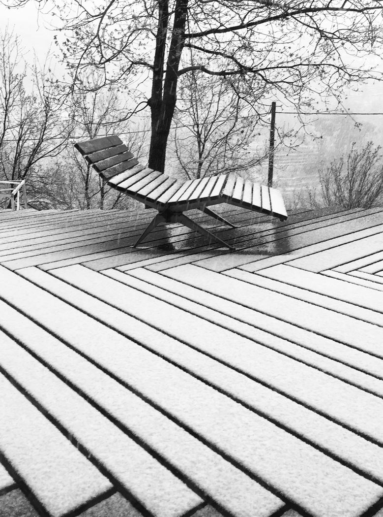 BOARDWALK - WOOD DECK